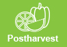 Postharvest