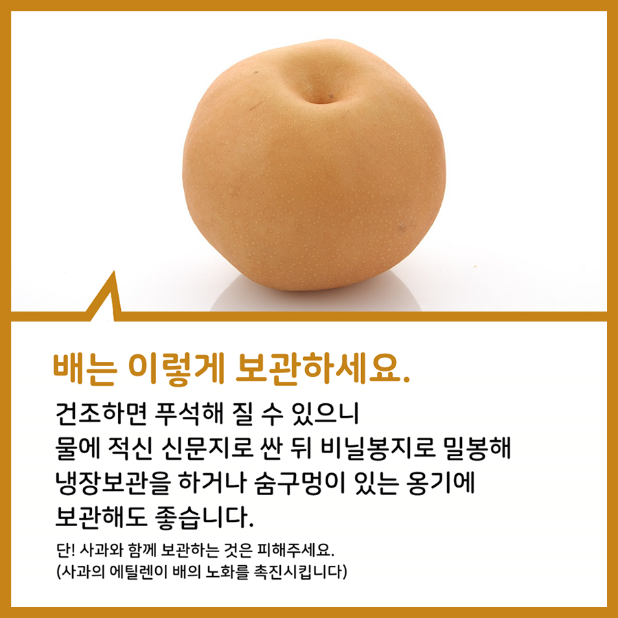 농촌진흥청 > 정책홍보 > 홍보콘텐츠 > 카드뉴스 > 상세보기 [카드뉴스]우리느은~신화창조!( feat.팔방미인 배)