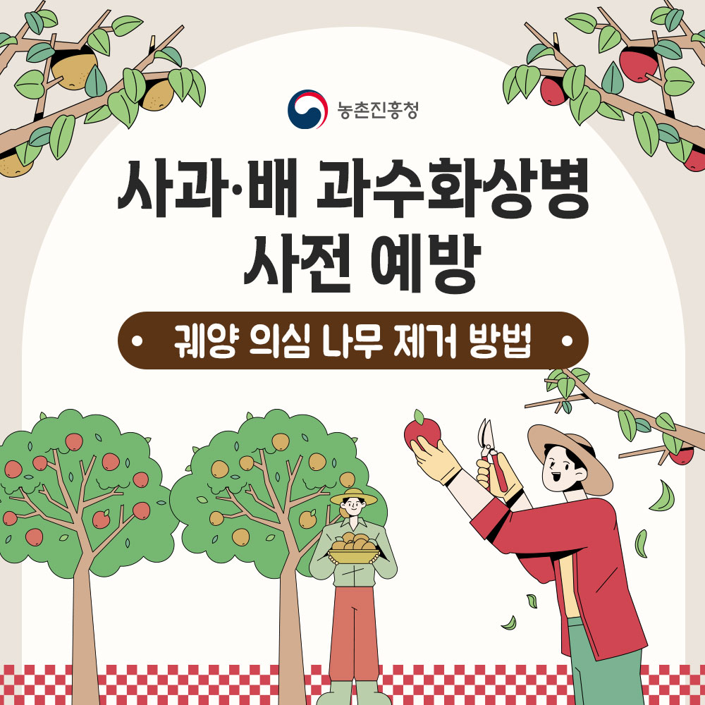 농촌진흥청 사과·배 과수화상병 사전 예방 궤양 의심 나무 제거 방법