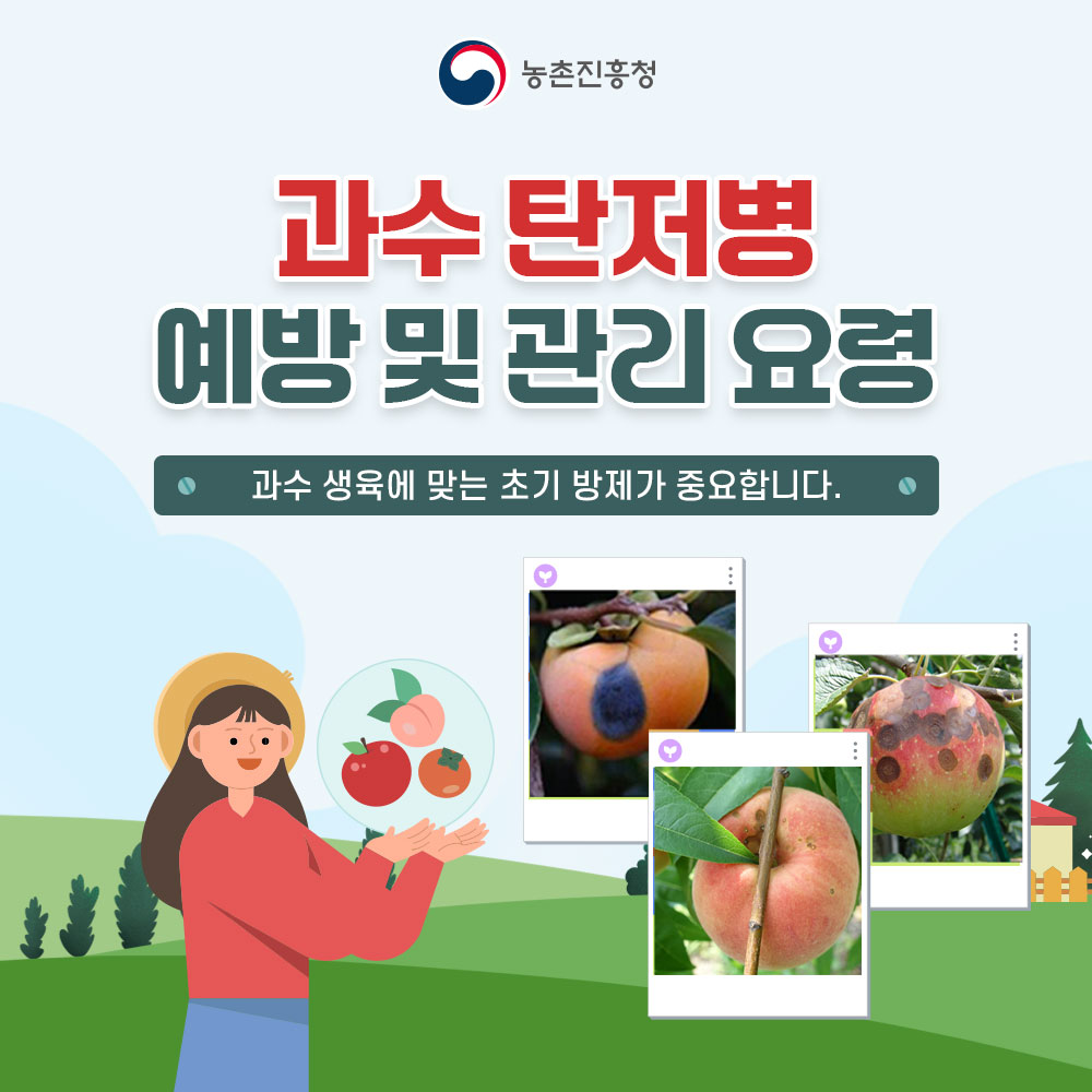 농촌진흥청 과수 탄저병 예방 및 관리요령 과수 생육에 맞는 초기 방제가 중요합니다.