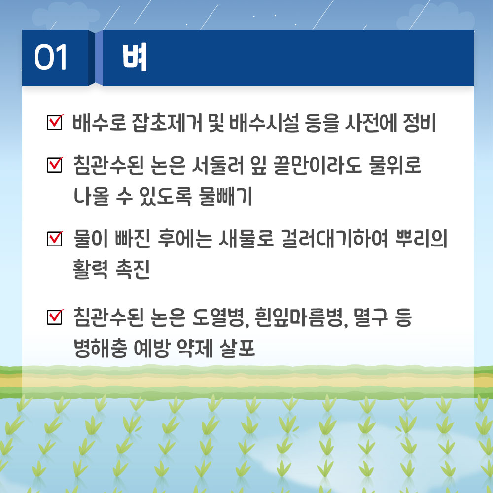 밭작물: 배수로 정비, 북주기 덮기, 엽면시비, 병해충 예방 약제 살포