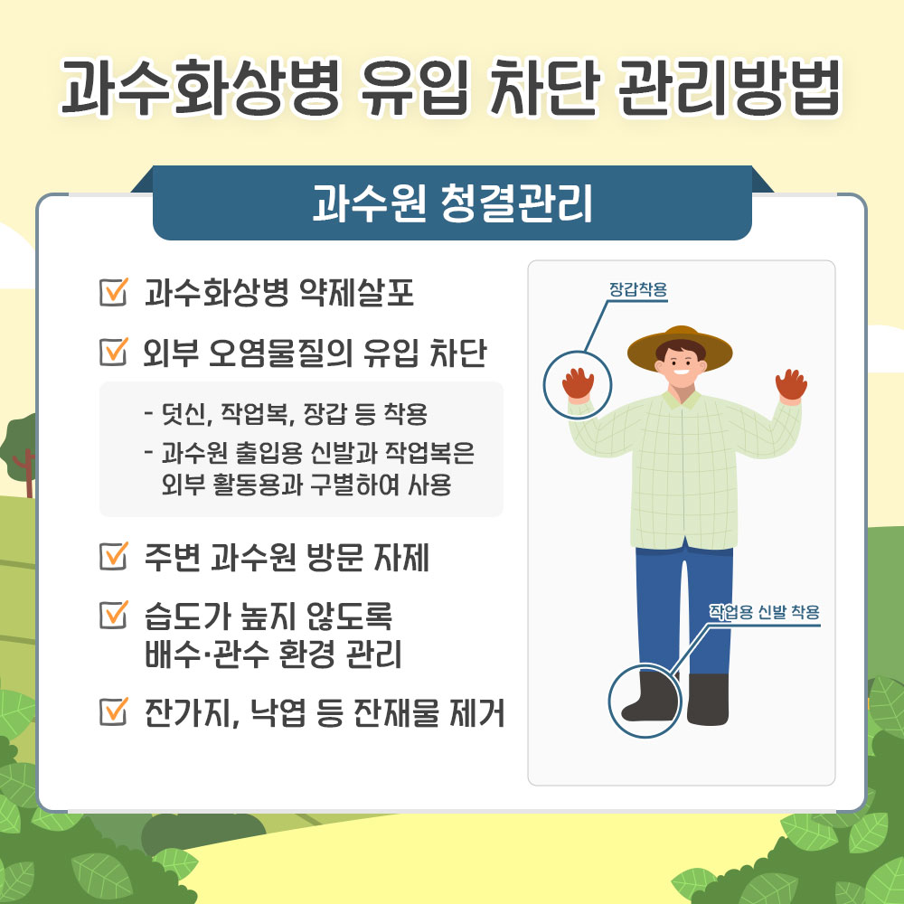 과수화상병 유입 차단 관리방법 - 과수원 청결관리 * 과수화상법 약제살포, * 외부 오염물질의 유입차단(덧신, 작업복, 장갑 등 착용, 과수원 출입용 신발과 작업복은 외부 활동용과 구별하여 사용), * 주변 과수원 방문 자제, * 습도가 높지 않도록 배수. 관수 환경 관리, * 잔가지, 낙엽 등 잔재물 제거