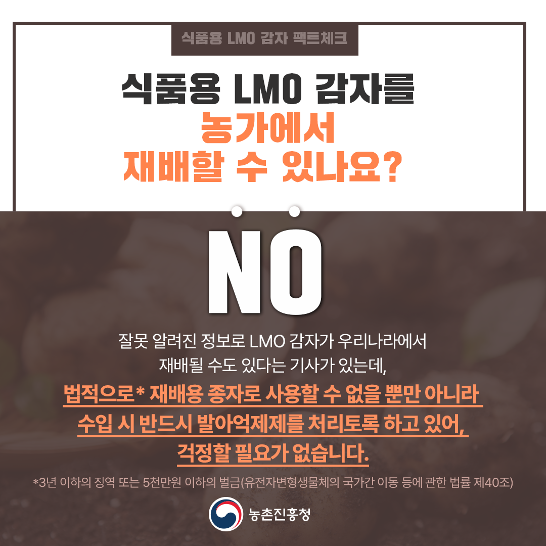 식품용 LMO 감자를 농가에서 재배할 수 있나요?