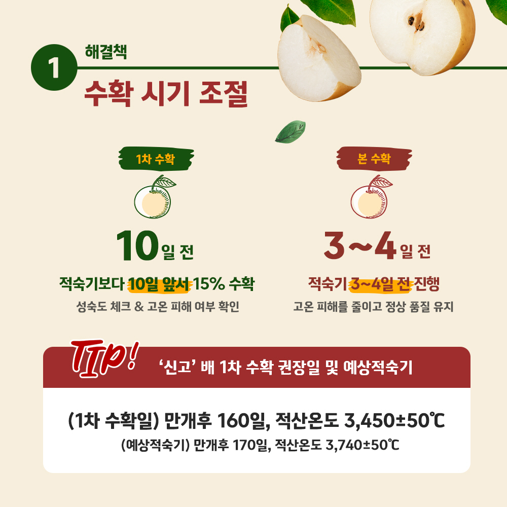 수확 시기 조절