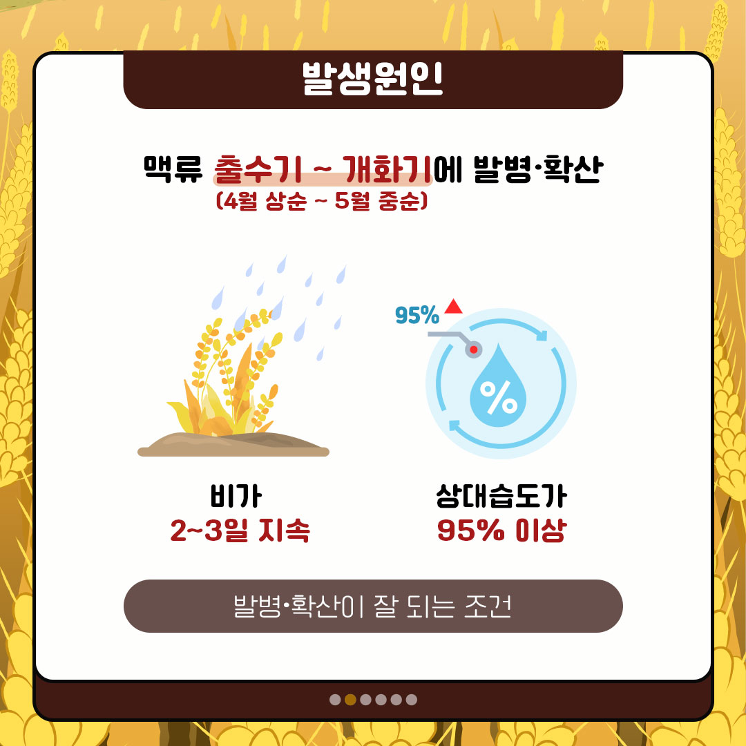 발생원인 맥류 출수기~개화기에 발병·확산(4월 상순~5월 중순)