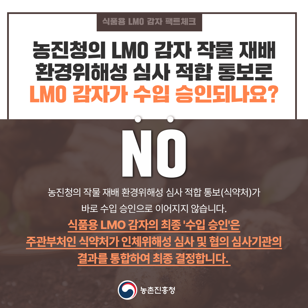 농진청의 LMO 감자 작물 재배 환경위해성 심사 적합 통보로 LMO 감자가 수입 승인되나요?