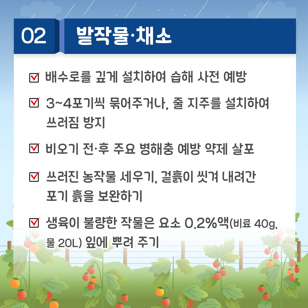 과수: 배수구 정비, 피복, 지주시설 보강, 병해충 방제 및 생육촉진제 살포