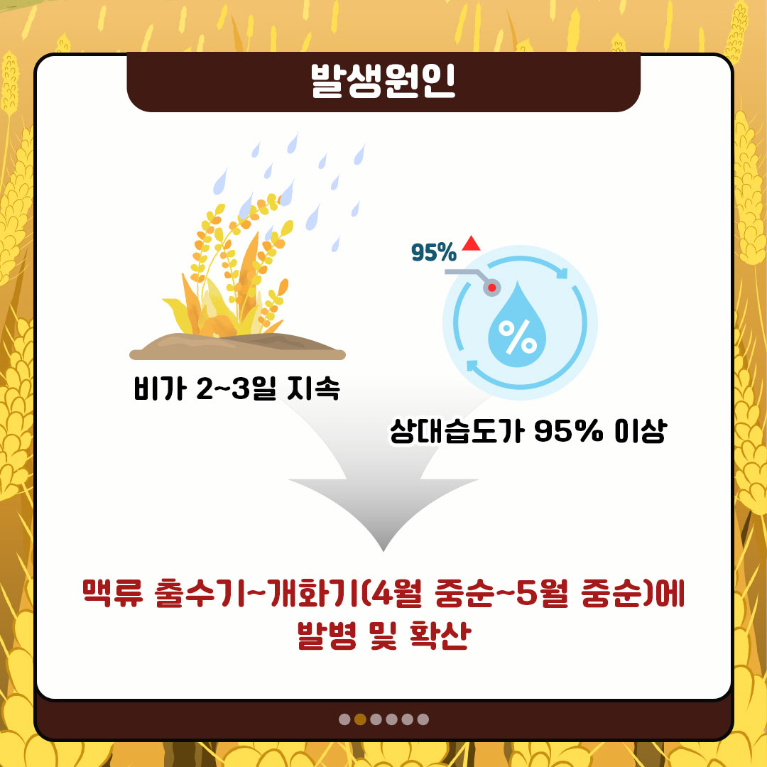 발생원인 맥류 출수기~개화기에 발병·확산(4월 상순~5월 중순)