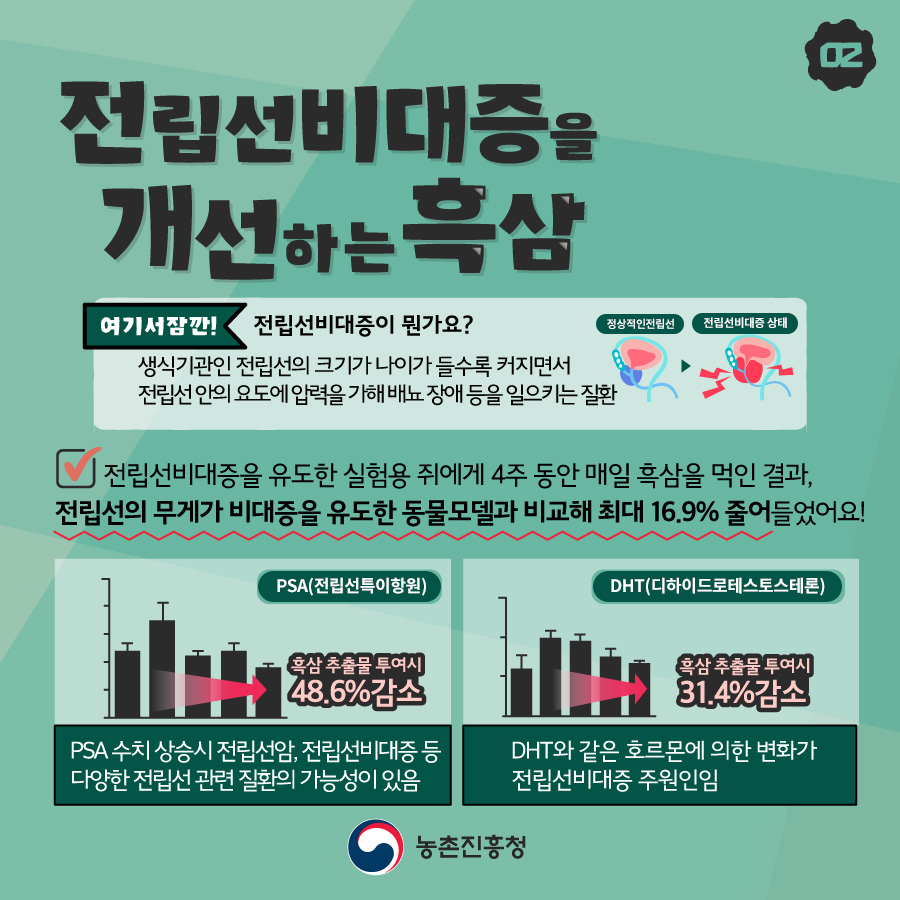 전립선비대증을 개선하는 흑삼 여기서잠깐! 전립선비대증이 뭔가요? 생식기관인 전립선의 크기가 나이가 들수록 커지면서 전립선 안의 요도에 압력을 가해 배뇨 장애 등을 일으키는 질환 정상적인 전립선 전립선비대증 상태 전립선비대증을 유도한 실험용 쥐에게 4주 동안 매일 흑삼을 먹인 결과, 전립선의 무게가 비대증을 유도한 동물모델과 비교해 최대 16.9% 줄어들었어요! PSA(전립석특이항원) 흑삼 추출물 투여시 48.6%감소 PSA 수치 상승시 전립선암, 전립선비대증 등 다양한 전립선 관련 질환의 가능성이 있음 DHT(디하이드로테스토스테론)) 흑삼 추출물 투여시 31.4%감소 DHT와 같은 호르몬에 의한 변화가 전립선비대증 주원인임