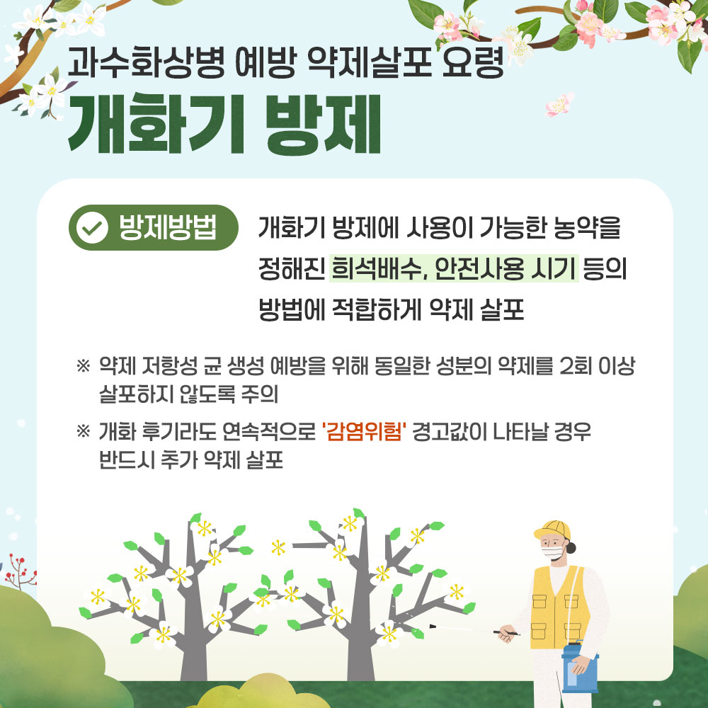 과수화상병 예방 약제살포 요령 개화기 방제 방제방법 : 개화기 방제에 사용이 가능한 농약을 정해진 희석배수, 안전사용 시기 등의 방법에 적합하게 약제 살포 ※ 약제 저항성 균 생성의 예방을 위해 동일한 성분의 약제를 2회 이상 살포하지 않도록 주의 ※ 개화 후기라도 연속적으로 '감염위험' 경고값이 나타날 경우 반드시 추가 약제 살포
