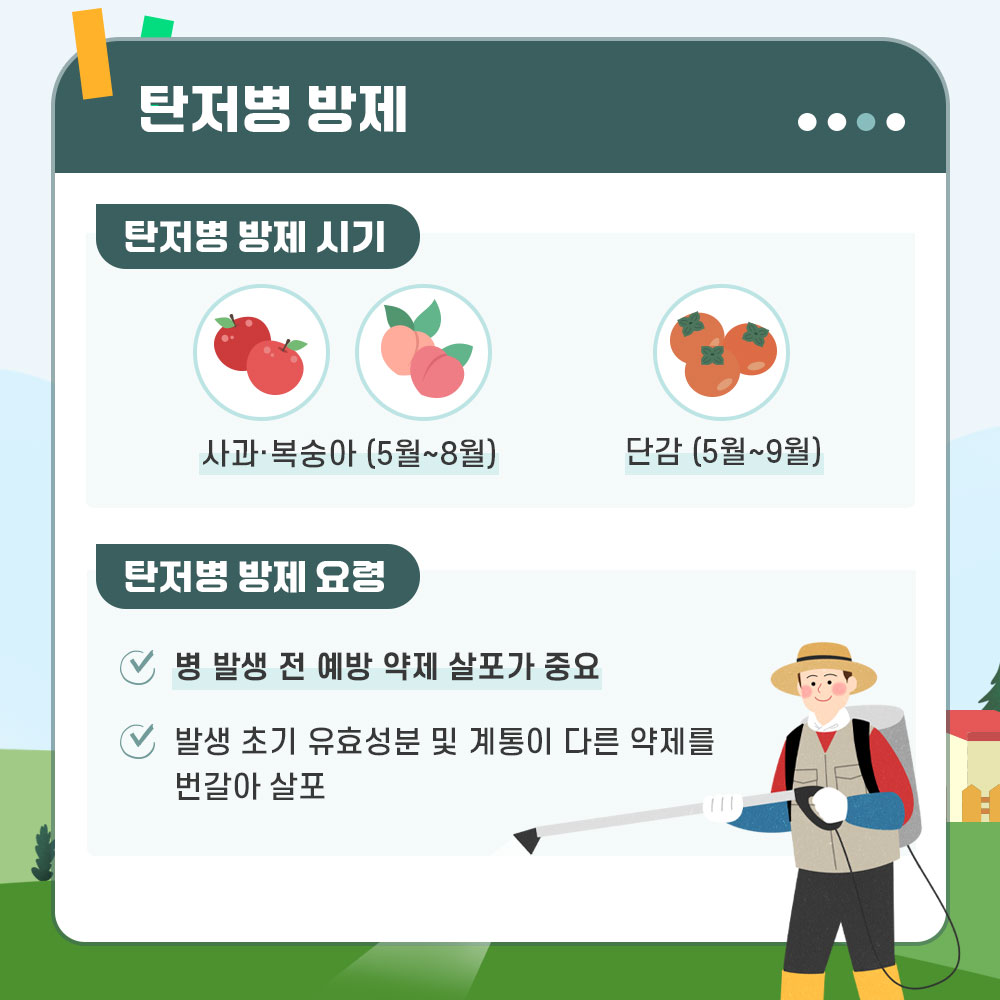 탄저병 방제 탄저병 방제 시기 : 사과/복숭아(5월~8월), 단감(5월~9월) 탄저병 방제 요령 : 병 발생 전 예방 약제 살포가 중요 발생 초기 유효성분 및 계통이 다른 약제를 번갈아 살포