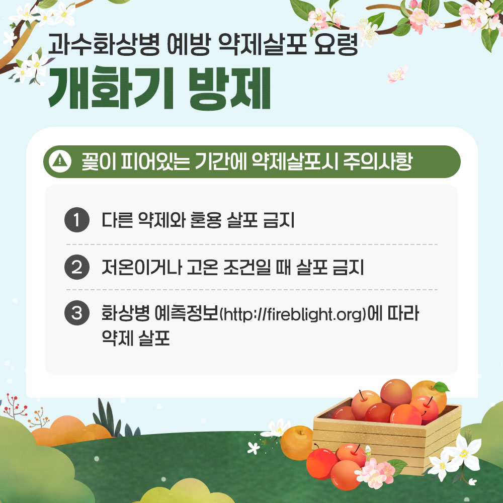 과수화상병 예방 약제살포 요령 개화기 방제 꽃이 피어있는 기간에 약제살포시 주의사항 ① 다른 약제와 혼용 살포 금지 ② 저온이거나 고온 조건일 때 살포 금지 ③ 화상병 예측정보(http://fireblight.org)에 따라 약제 살포