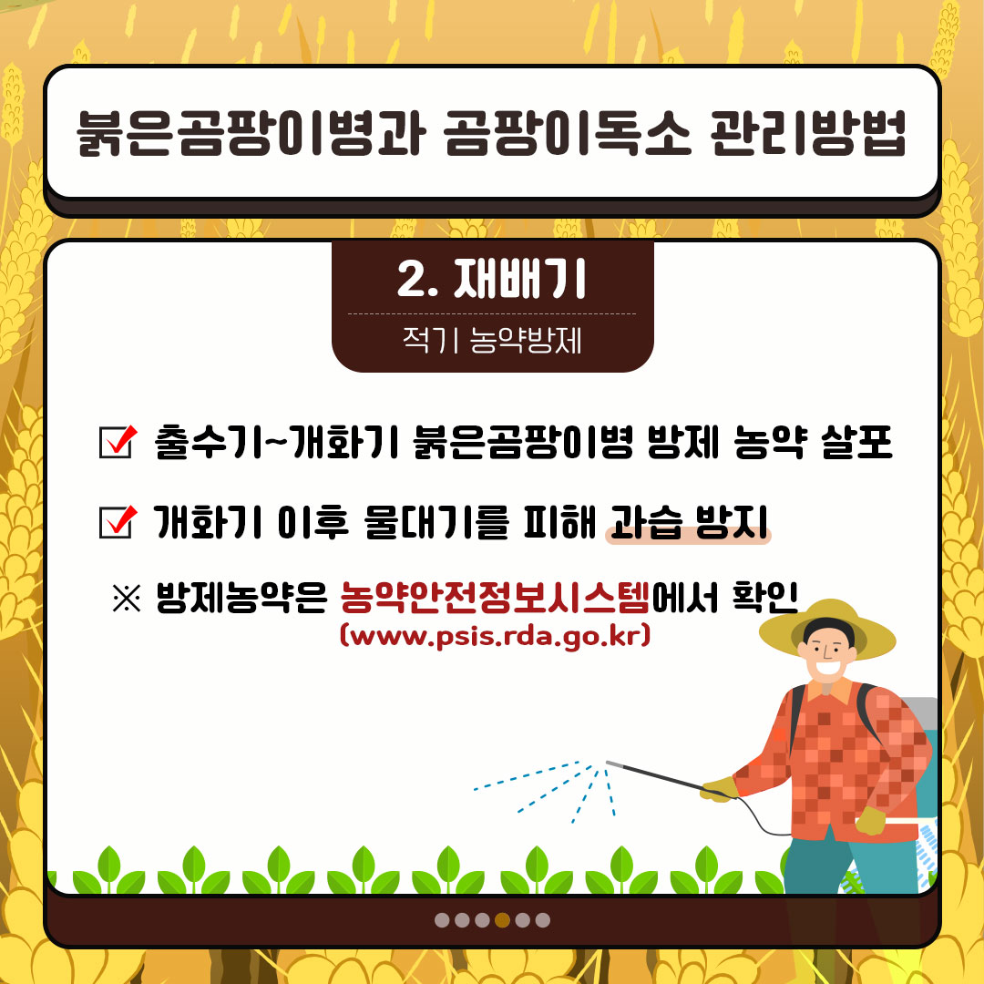 붉은곰팡이병과 곰팡이독속 관리방법 2. 재배기 적기 농약방재 출수기~개화기 붉은곰팡이병 방제 농약 살포 개화기 이후 물대기를 피해 과습 방지 방제농약은 농약안전정보시스템에서 확인