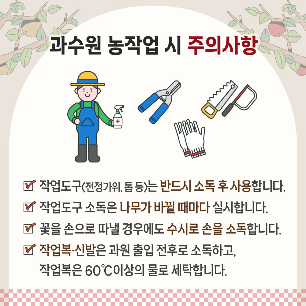 과수원 농작업 시 주의사항 +D 작업도구(전정가위, 톱 등)는 반드시 소독 후 사용합니다. ☞ 작업도구 소독은 나무가 바뀔 때마다 실시합니다. 꽃을 손으로 따낼 경우에도 수시로 손을 소독합니다. 작업복·신발은 과원 출입 전후로 소독하고, 작업복은 60°C이상의 물로 세탁합니다.