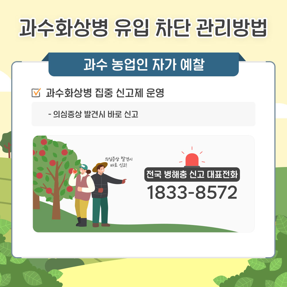과수화상병 유입 차단 관리방법 과수 농업인 자가 예찰 : 과수화상병 집중 신고제 운영(의심증상 발견시 바로 신고 전국 병해충 신고 대표전화 1833-8572)