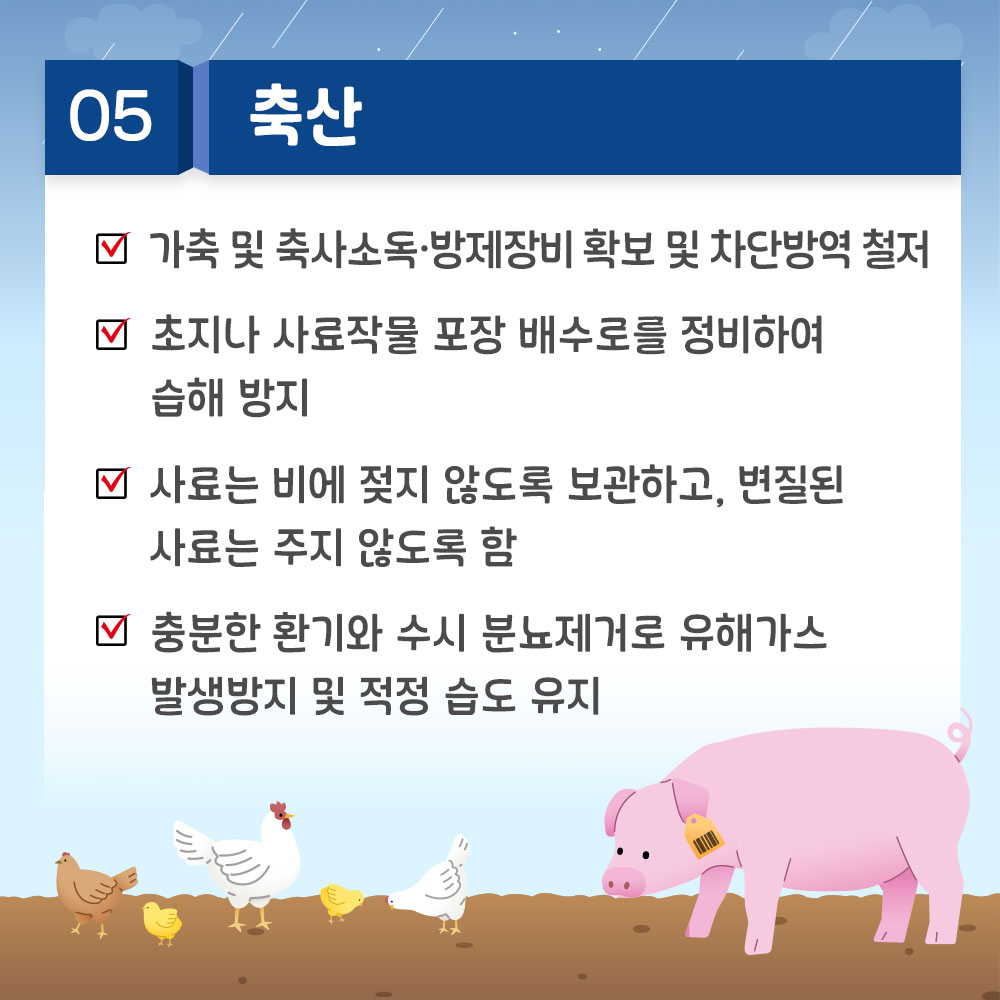 가축: 사료 방수처리, 사료 급변 주의, 깨끗한 물 공급, 곰팡이 사료 폐기