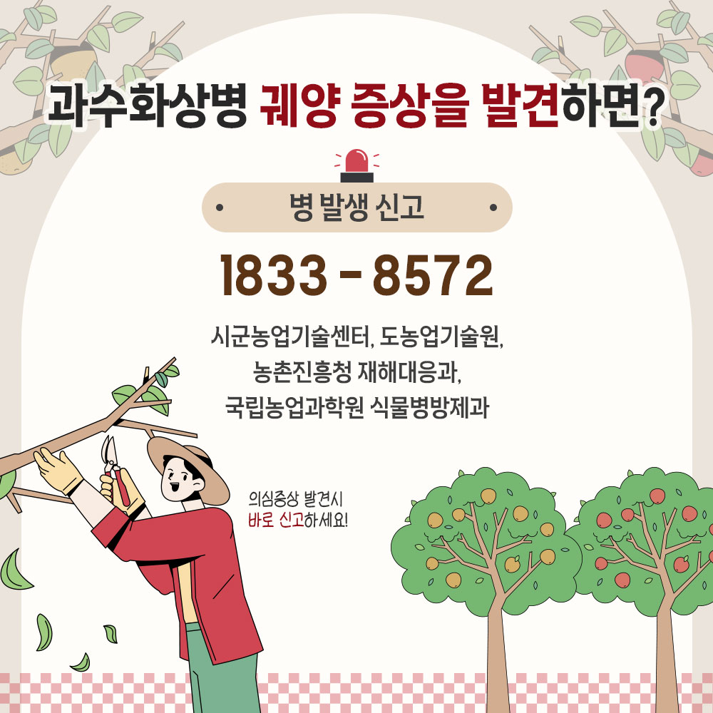 과수화상병 궤양 증상을 발견하면? 병 발생 신고 1833-8572 시군농업기술센터, 도농업기술원, 농촌진흥청 재해대응과 국립농업과학원 식물병방제과 의심증상 발견시 바로 신고하세요! 0
