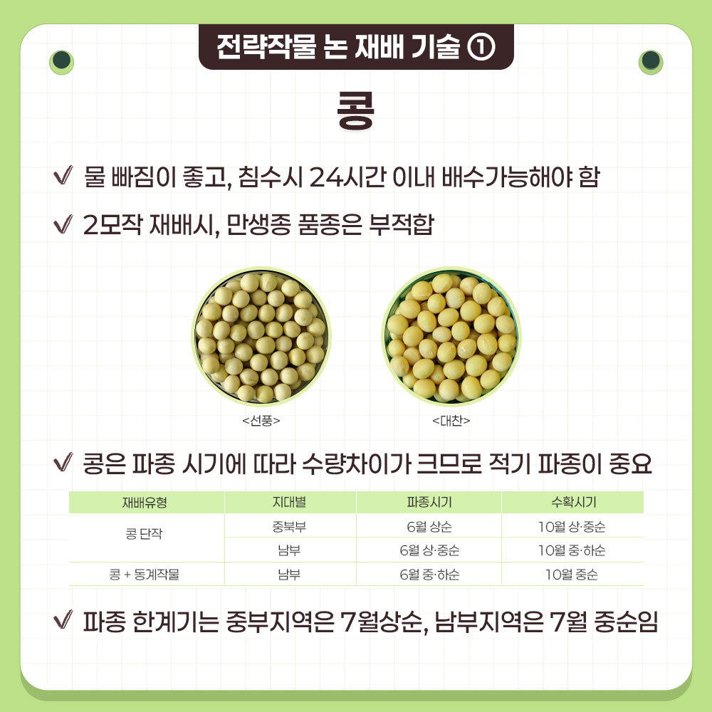 전략작물 논 재배 기술 ① 콩  물 빠짐이 좋아야 하며, 침수 시 24시간 이내 배수 가능해야 함 2모작 재배 시, 만생종 품종은 부적합  품종 비교 : 선풍, 대찬  콩은 파종 시기에 따라 수량 차이가 크므로 적기 파종이 중요  재배유형, 지대별, 파종시기, 수확시기에 대한 설명 : 콩 단작, 중북부, 6월 상순, 10월 상·중순 남부, 6월 상·중순, 10월 중·하순 콩+동계작물, 남부,	6월 중·하순, 10월 중순  파종 한계기는 중부지역은 7월 상순, 남부지역은 7월 중순임
