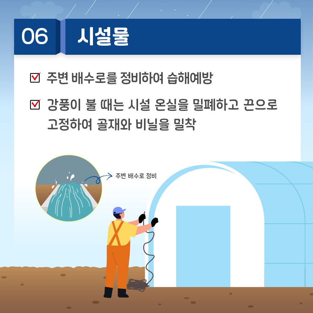 시설하우스: 배수 확보, 시설 고정, 출입문 닫기, 침수 시 배수 및 병해 예방 약제 살포
