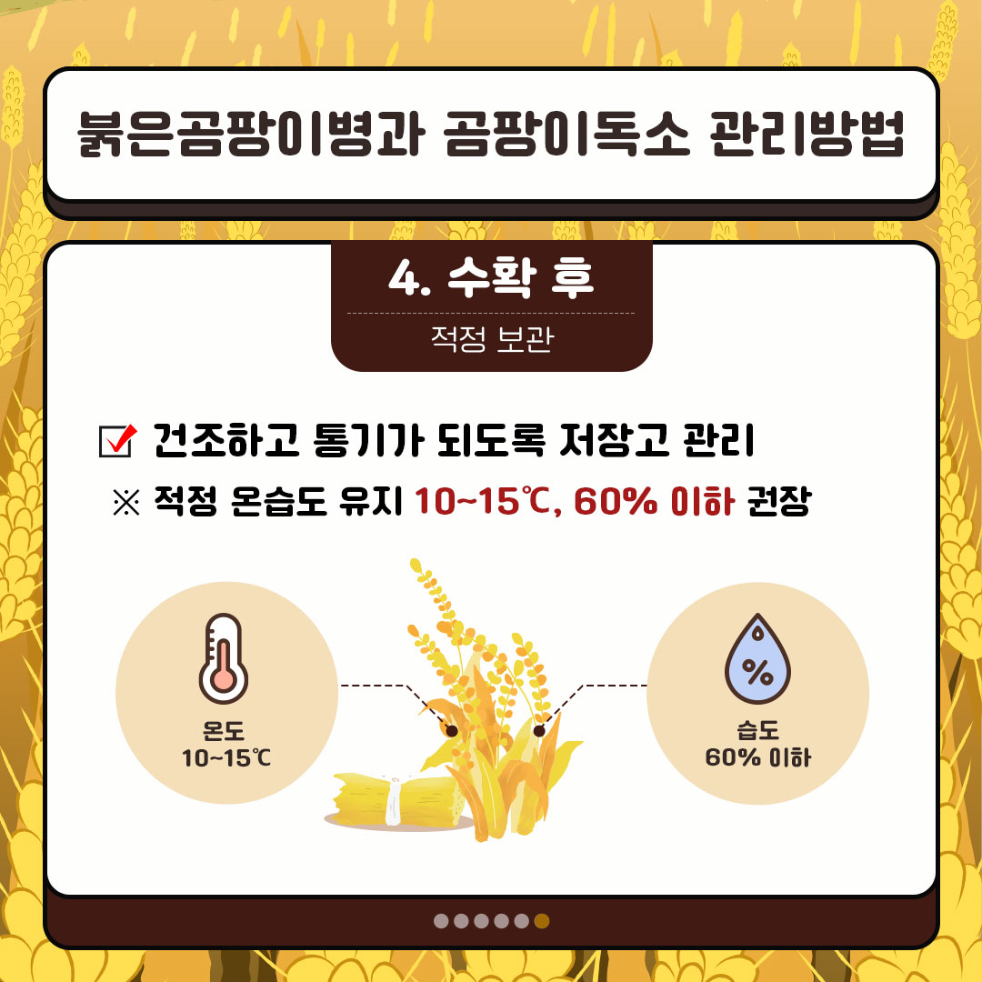 붉은곰팡이병과 곰팡이독속 관리방법 4. 수확 후 직접 보관 건조하고 통기가 되도록 저장고 관리 적정 온습도 유지 10~15도, 60% 이하 권장