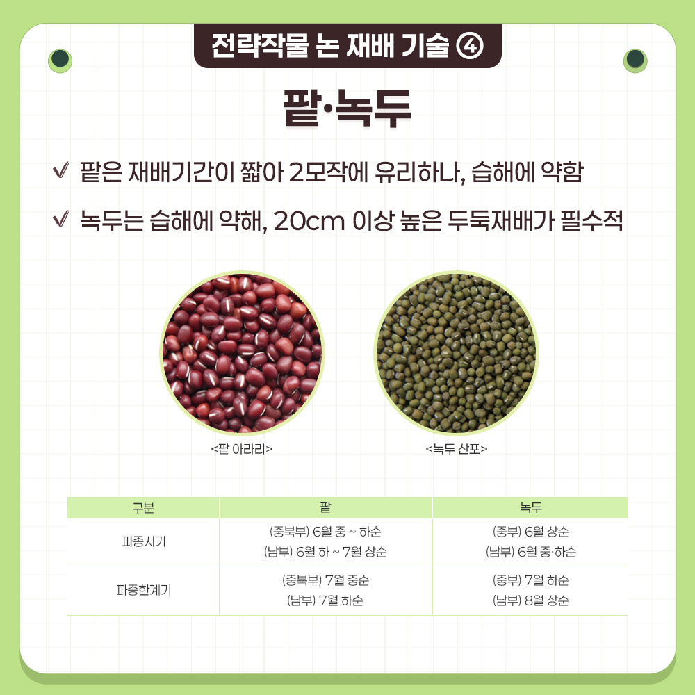 전략작물 논 재배 기술 ④ 팥 · 녹두  팥은 재배기간이 짧아 2모작에 유리하나, 습해에 약함 녹두는 습해에 매우 약하므로, 20cm 이상 높은 두둑 재배가 필수  품종 예시 : 팥 아라리, 녹두 산포  구분, 팥, 녹두로 구분된 표에 대한 설명 : 파종시기, (중북부) 6월 중 ~ 하순, (남부) 6월 하 ~ 7월 상순, (중북부) 6월 상순, (남부) 6월 중 ~ 하순 파종한계기, (중북부) 7월 중순, (남부) 7월 하순, (중북부) 7월 하순, (남부) 8월 상순