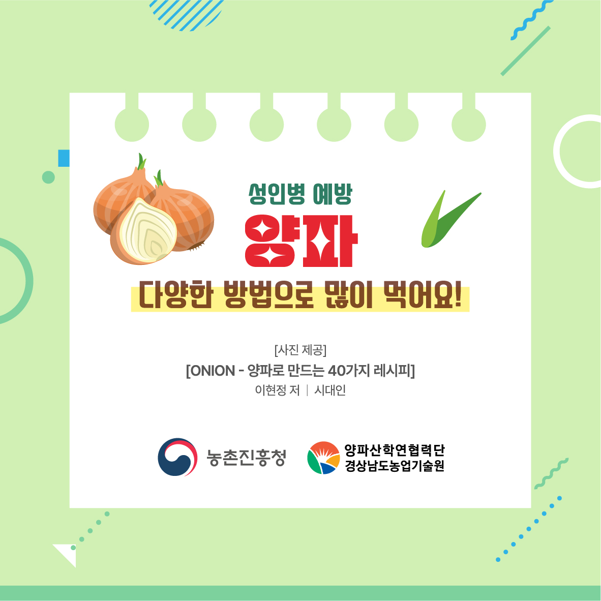  성인병 예방 양파 다양한 방법으로 많이 먹어요! 사진제공 onion-양파로 만드는 40가지 레시피 이현정 저/시대인