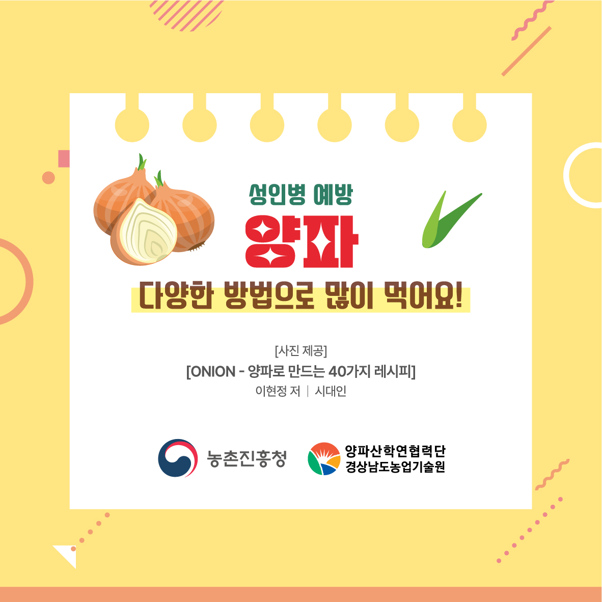 성인병 예방 양파 다양한 방법으로 많이 먹어요! 사진제공onion-양파로 만드는 40가지 레시피 이현정 저/시대인