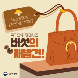 비건이 대세! 버섯으로 가죽을? 먹기만 하지 마세요. 버섯의 재발견! 농촌진흥청
