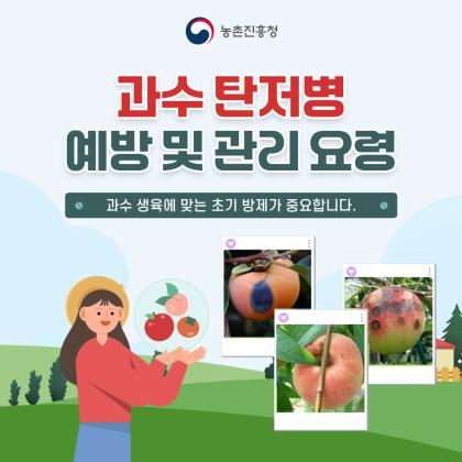 농촌진흥청 과수 탄저병 예방 및 관리요령 과수 생육에 맞는 초기 방제가 중요합니다.