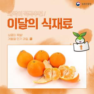 농촌진흥청 새싹이 적극추천! 이달의 식재료  상큼미 폭발! 겨울철 인기과일, 귤 귤