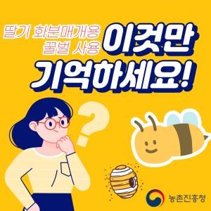 딸기 화분매개용 꿀벌 사용, 이것만 기억하세요!