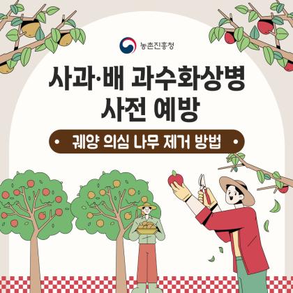 농촌진흥청 사과·배 과수화상병 사전 예방 궤양 의심 나무 제거 방법