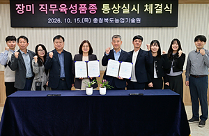 충북농업기술원 육성 장미, 관광특구 단양에서 꽃피운다! 