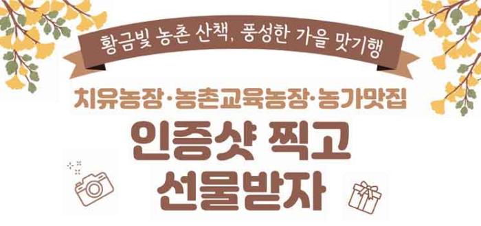 황금빛 농촌 산책, 풍성한 가을 맛기행 치유농장·농촌교육농장·농가맛집 인증샷 찍고 선물받자