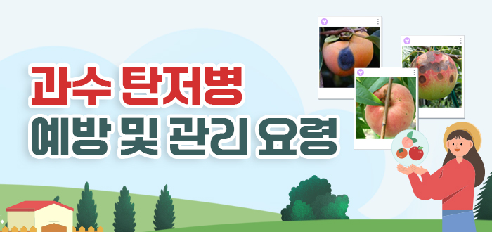 과수 탄저병 예방 및 관리요령