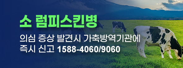 소 럼피스킨병 의심 증상 발견시 가축방역기관 즉시신고 1588-4060/9060