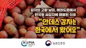 감자의 고향 에콰도르! 한국 씨감자에 푹 빠진 이유는?!