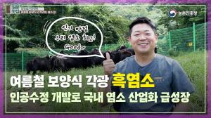 [질문맛집 8화] 여름철 보양식, 당신의 선택은!!!! 바로 염소고기!