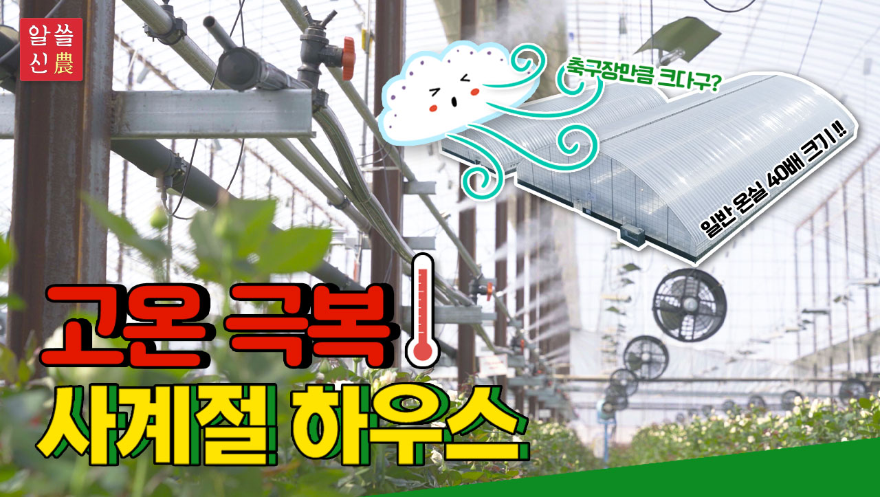 [알쓸신농] 사계절 하우스