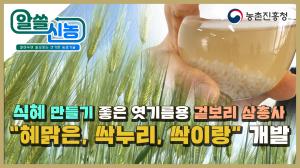 [알쓸신농 5화] 식혜 만들기 좋은 엿기름용 겉보리 삼총사