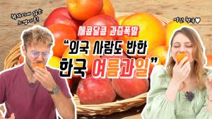 과즙이 팡팡 파라파라 팡팡팡♬ "한국 여름과일 어디까지 먹어봤니?"