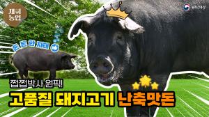 블랙 피그 인유어 에리어🖤 쩝쩝박사들의 입맛을 사로잡은 난축맛돈🐽