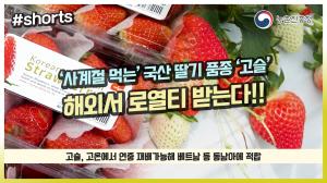 ‘사계절 먹는’ 국산 딸기, 해외서 로열티 받는다고!? 🤩