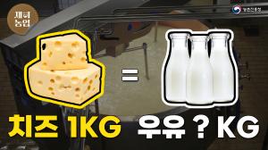 [재미농업] 치~즈 덕후들 집중! 치즈 만드는 법부터 새로운 이색 치즈까지👍🧀