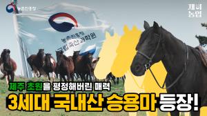 중요한 건 꺾이지 않는 승용마🐴 이게 바로 3세대 국내산 승용마 클라쓰✌