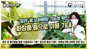 ‘칼라’ 꽃 노화예방 기능성 확인, 화장품 등으로 이용 기대