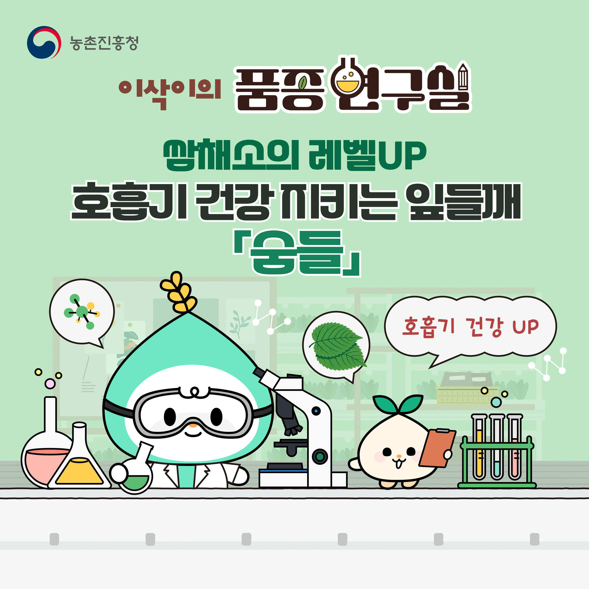 농촌진흥청 이삭이의 품종 연구실 쌈채소의 레벨UP 호흡기 건강 지키는 잎들깨 숨들 호흡기 건강 UP