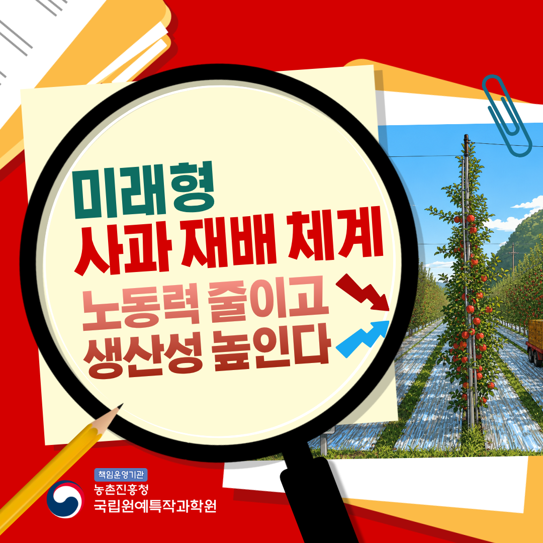 미래형 사과 재배 체계 노동력 줄이고 생산성 높인다  책인운영기관 농촌진흥청 국립원예특작과학원