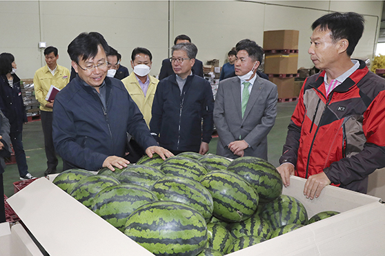 경남 함안 시설수박 재배현장 방문