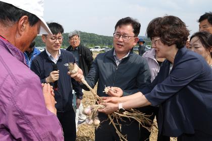 마늘 수확 기계화 현장 점검